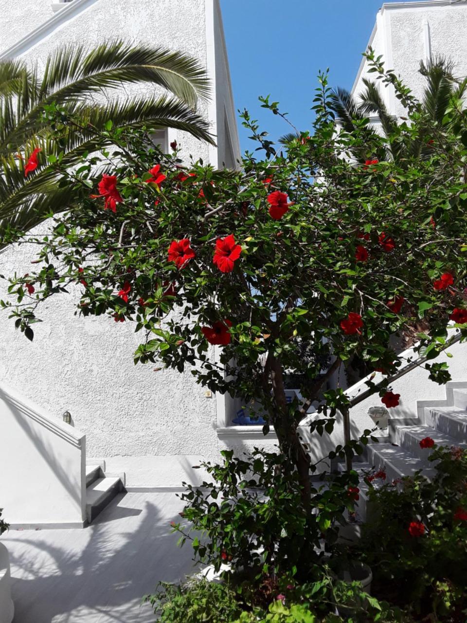 Azalea Hotel Kamári 외부 사진